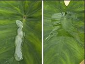 �~�����Ч��Ч������